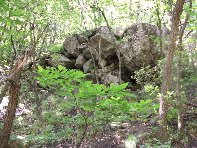 qua a Uttara20100613 023